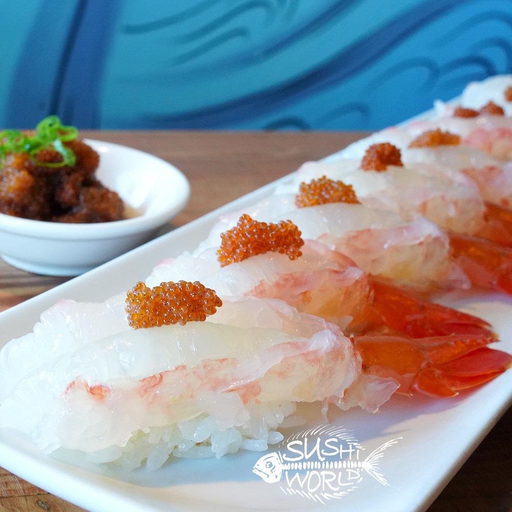 Amaebi Live Sweet Shrimp Specialty Specials Board Sushi Bar Chefs Orange County OC 