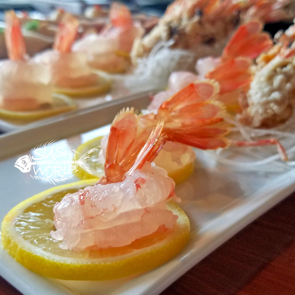 Amaebi Sashimi Live Sweet Shrimp Orange County OC Cypress Sushi World Best 