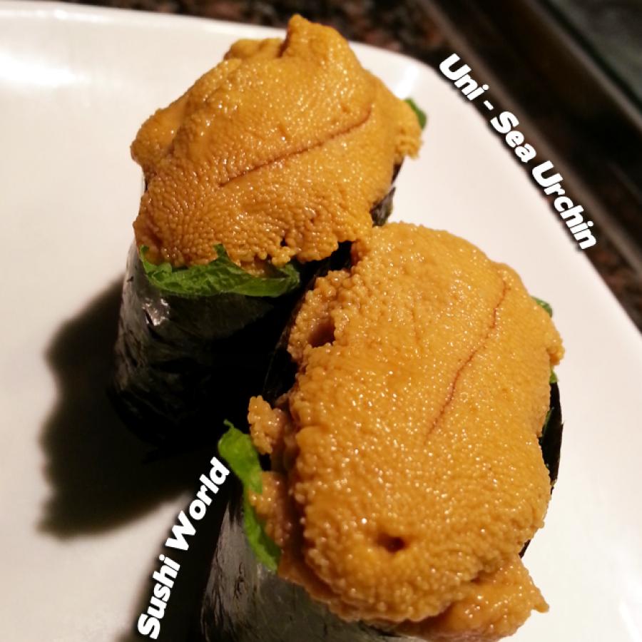 Delicious Uni Sushi World