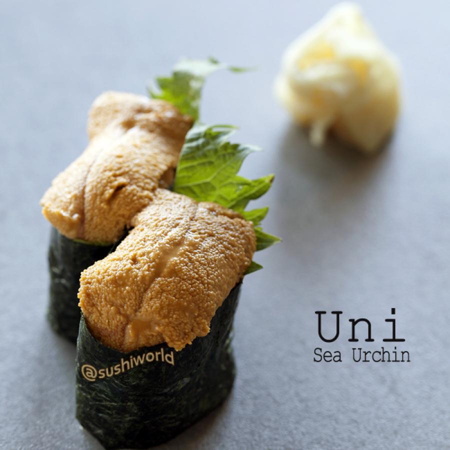 Uni Sea Urchin Decadent Rich Buttery Delicious Orange County Best OC Sushi World Uni Sea Urchin Decadent Rich Buttery Delicious Orange County Best OC Sushi World