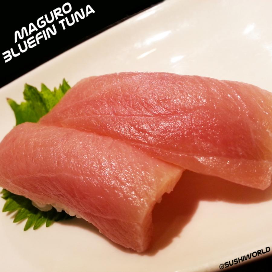 Maguro Bluefin Tuna Toro Orange County High Quality Sushi World Cypress OC Maguro Bluefin Tuna Toro Orange County High Quality Sushi World Cypress OC