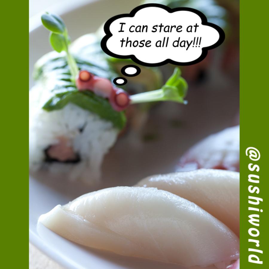 Stare at Our Sushi Humps All Day Perverts Delicious Sushi World Orange County OC Stare at Our Sushi Humps All Day Perverts Delicious Sushi World Orange County OC