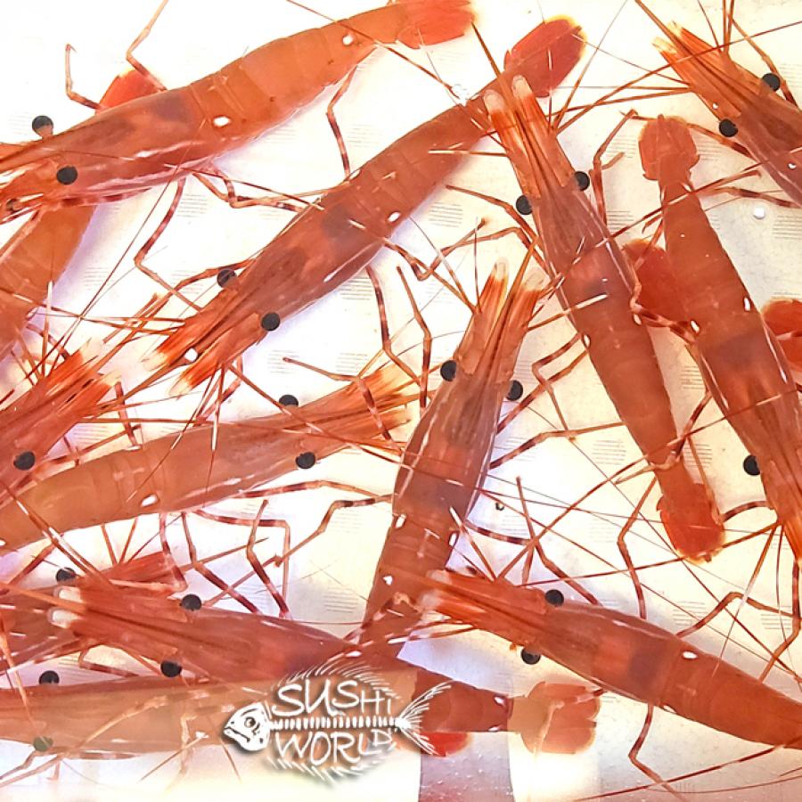 Live Sweet Shrimp Amaebi Deep Fried Heads Cypress Orange County OC Sushi World Live Sweet Shrimp Amaebi Deep Fried Heads Cypress Orange County OC Sushi World