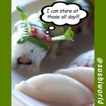 Stare at Our Sushi Humps All Day Perverts Delicious Sushi World Orange County OC
